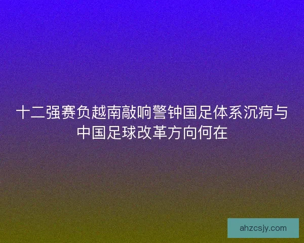 十二强赛负越南敲响警钟国足体系沉疴与中国足球改革方向何在